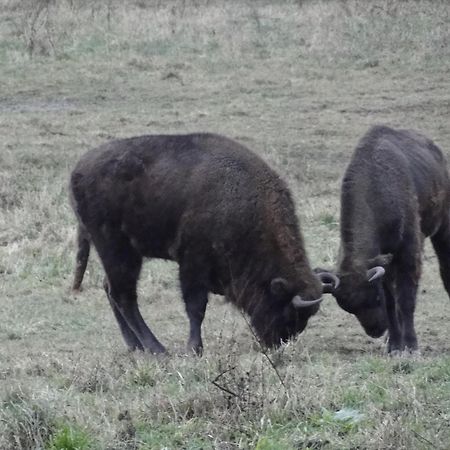 Agroturystyka Zywe Kruklanki Exteriér fotografie