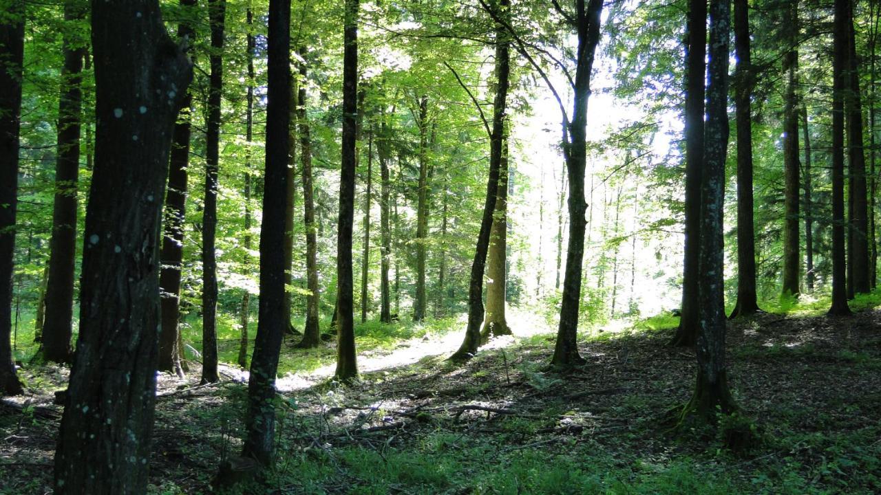 Agroturystyka Zywe Kruklanki Exteriér fotografie