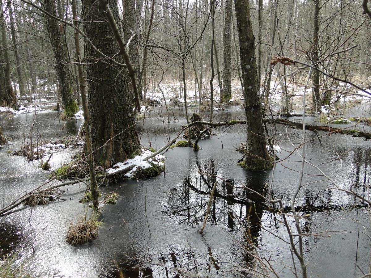 Agroturystyka Zywe Kruklanki Exteriér fotografie