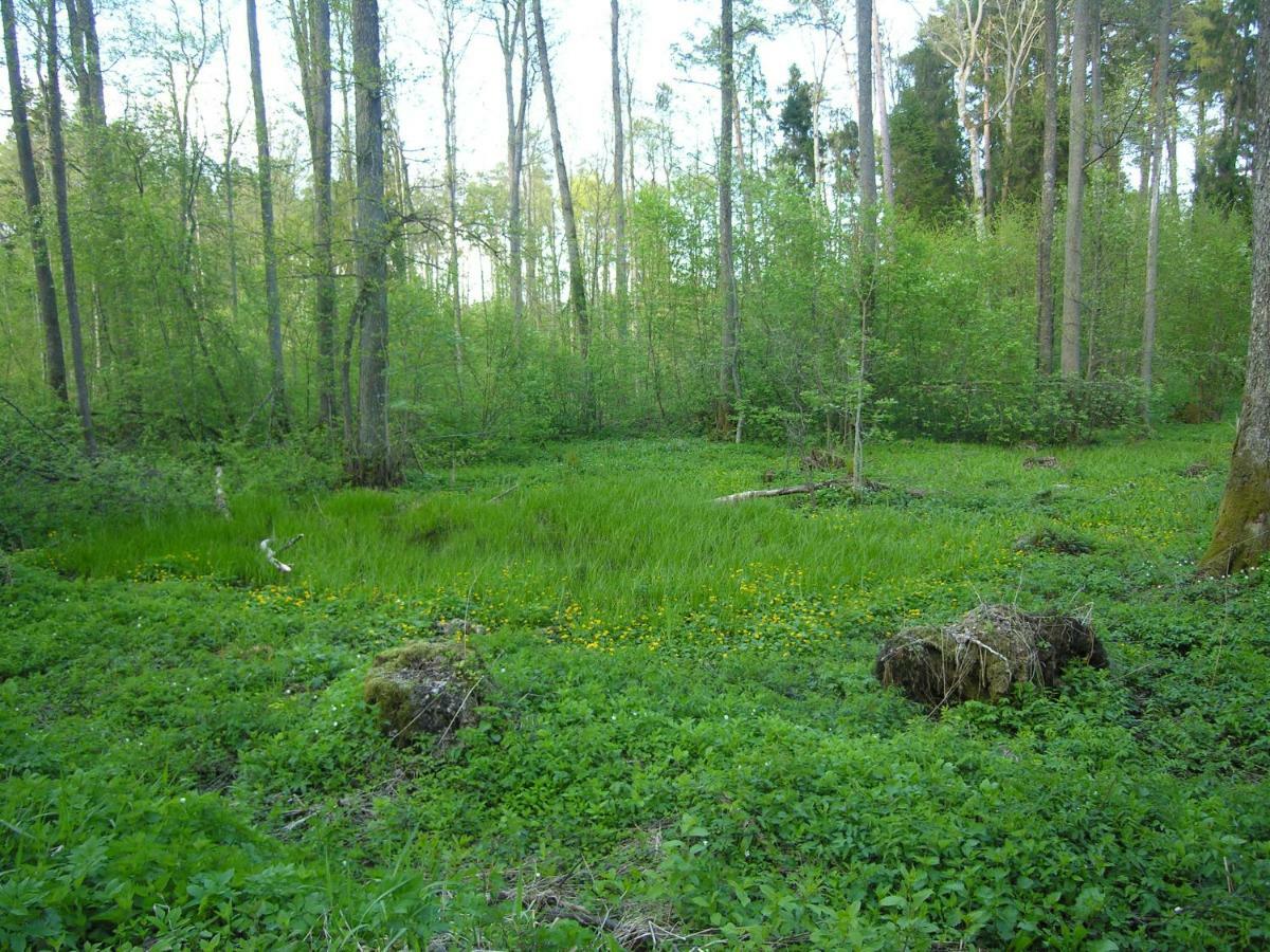 Agroturystyka Zywe Kruklanki Exteriér fotografie