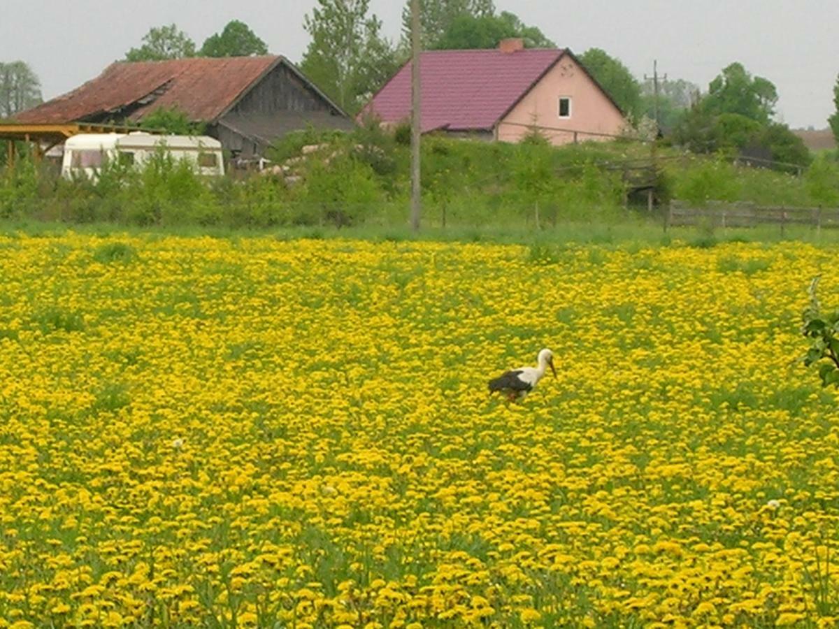 Agroturystyka Zywe Kruklanki Exteriér fotografie